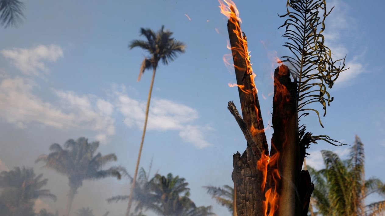 fuego amazonas
