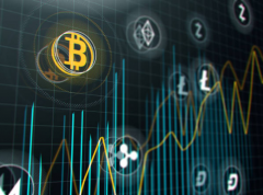 ¿Aprobarán las criptomonedas el examen del mercado?