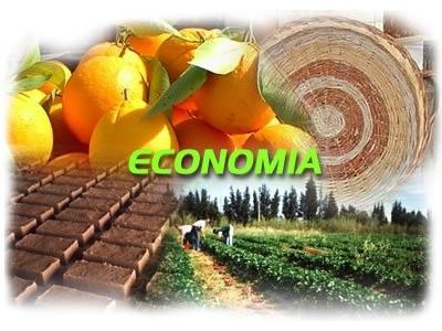 frutaseconomicas