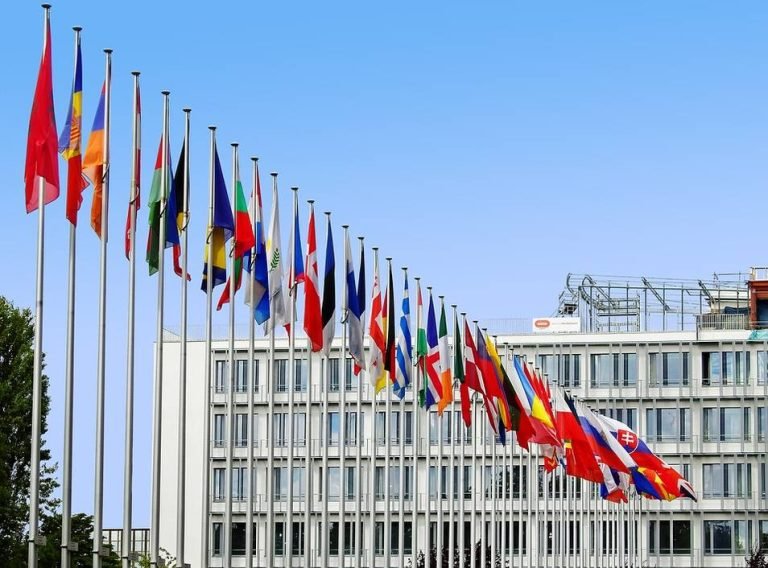 Los países capitalistas son líderes en todos los indicadores sociales que preocupan a la izquierda