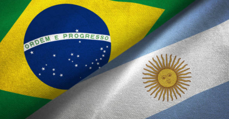 El fracaso del estado de bienestar: El caso de Argentina y Brasil